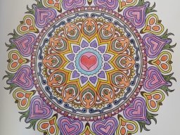 whatsapp bild 2023-08-11 um 12.44.07